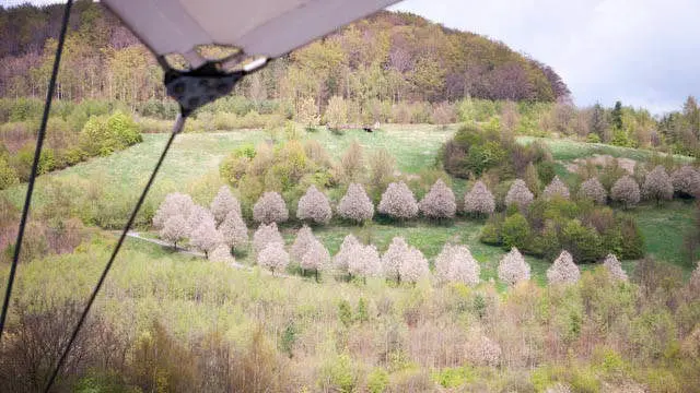 Kurpark Bad Schlema - Ferienwohnung Haus Ilse