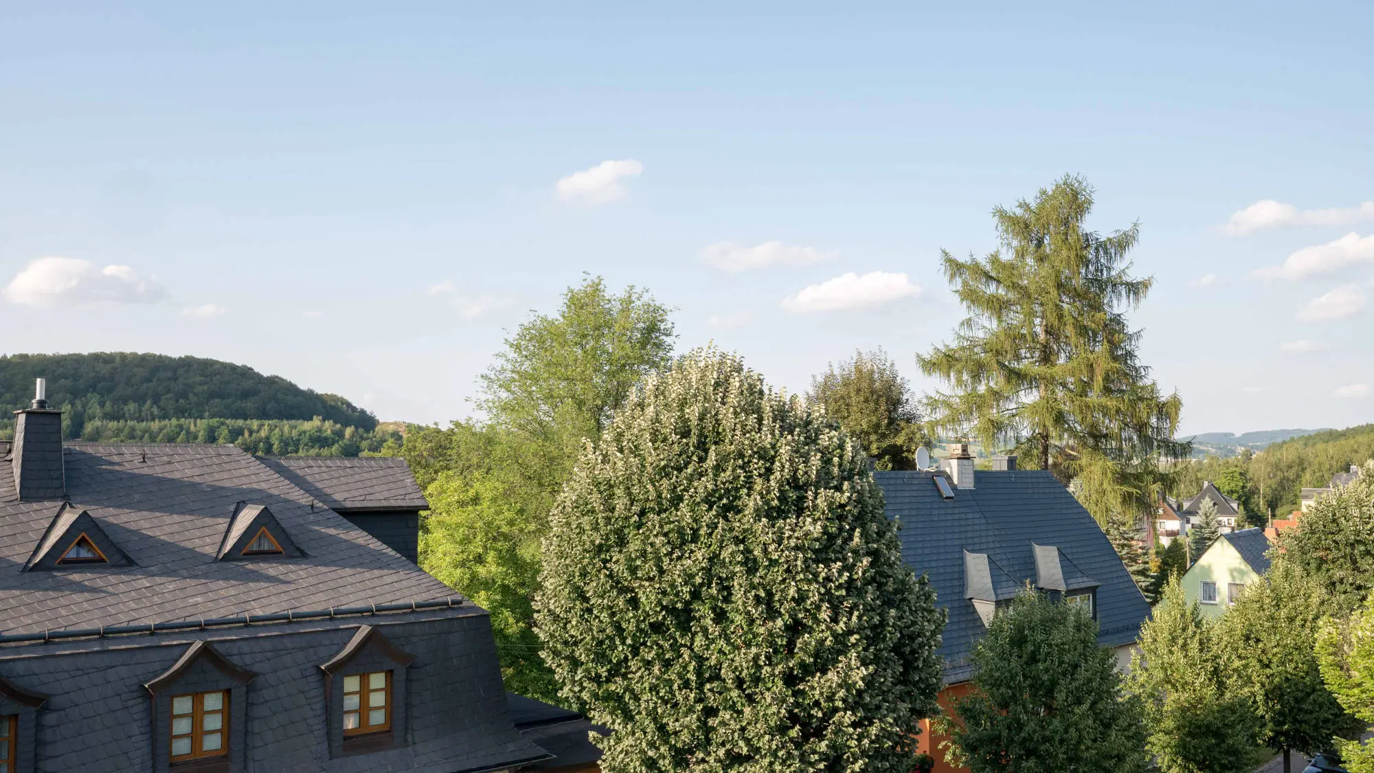 Haus Ilse Ferienwohnung  Golfplatz Aue Bad Schlema